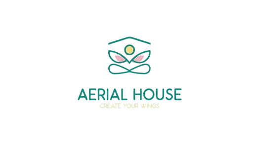 Aerial House